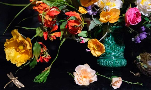 Beetle-Goes-Dutch-1-close-up-3-low-res Beetle-Goes-Dutch-1-close-up-3-low-res